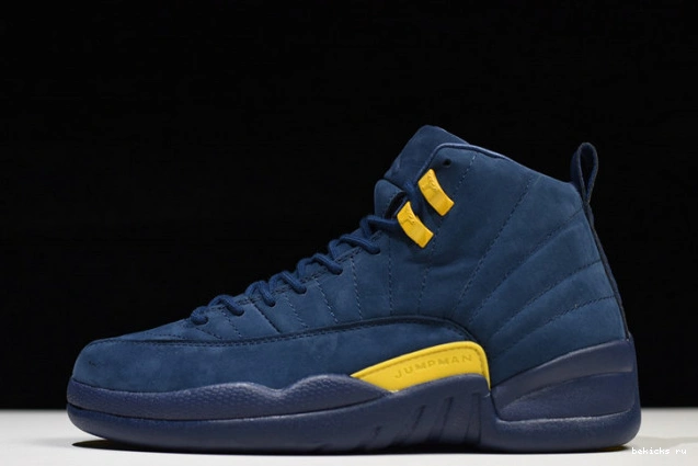 bq3180-407 air michigan jordan 12 0307